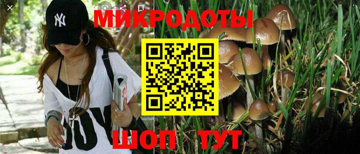 Галлюциногенные грибы ЛСД Губаха